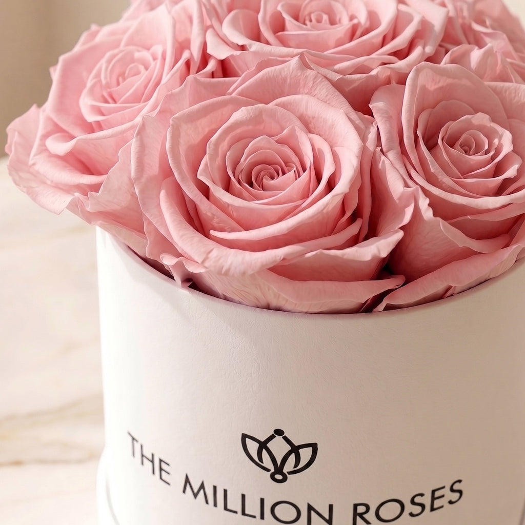 Essence White Box | Light Pink Roses
